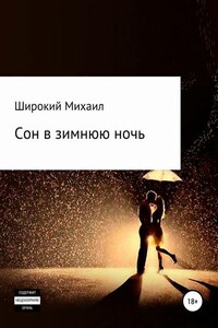 Сон в зимнюю ночь