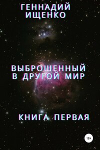 Выброшенный в другой мир. Книга первая