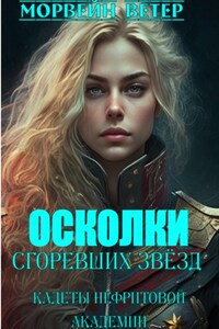 Осколки сгоревших звёзд. Книга 1. Кадеты Нефритовой Академии