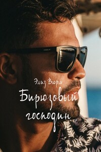 Бирюзовый господин. Книги 1–4