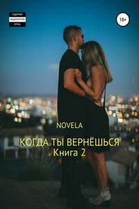 Когда ты вернешься. Книга 2