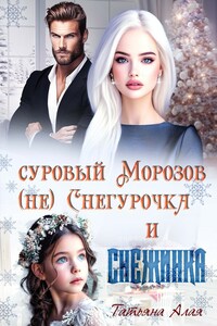 Суровый Морозов, (не) Снегурочка и Снежинка