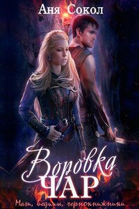 Воровка чар. Маги, ведьмы, чернокнижники