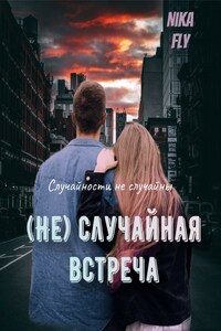 (Не) случайная встреча