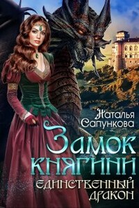 Единственный дракон. Замок княгини