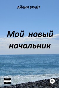 Мой новый начальник