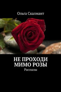 Не проходи мимо розы. Рассказы