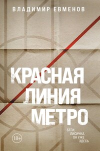 Красная линия метро