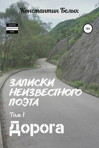 Записки неизвестного поэта. Том 1. Дорога