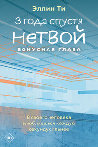 3 года спустя. Нетвой. Бонусная глава