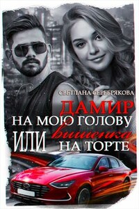 Дамир на мою голову или Вишенка на торте