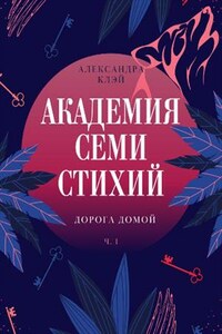 Академия семи стихий. Дорога домой